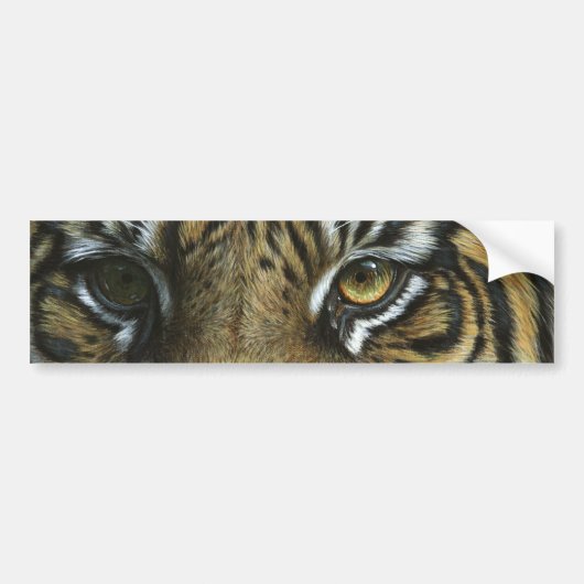Ein Tiger-Gesicht Autoaufkleber (Vorne)