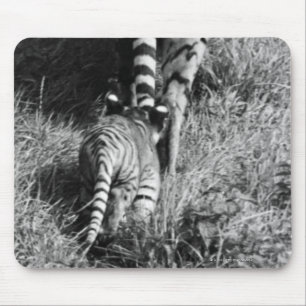 Ein Tiger mit ihren zwei Jungen an Whipsnade Zoo Mousepad