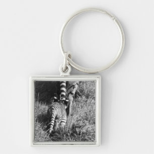 Ein Tiger mit ihren zwei Jungen an Whipsnade Zoo Schlüsselanhänger
