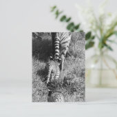 Ein Tiger mit ihren zwei Jungs im Whipsnade Zoo. Postkarte (Stehend Vorderseite)