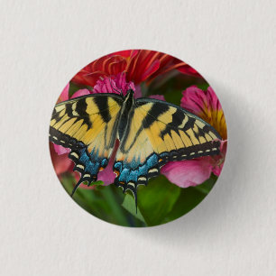 Ein Tiger Swallowtail Schmetterling Button