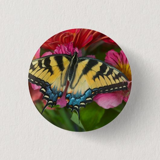 Ein Tiger Swallowtail Schmetterling Button (Vorderseite)