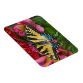 Ein Tiger Swallowtail Schmetterling Magnet (Rechte Seite)