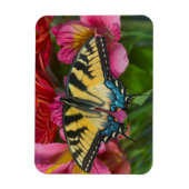 Ein Tiger Swallowtail Schmetterling Magnet (Vertikal)