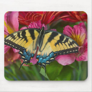 Ein Tiger Swallowtail Schmetterling Mousepad