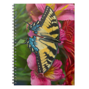 Ein Tiger Swallowtail Schmetterling Notizblock