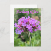 Ein Tipp von Z "Denken Sie an Sie" nahe Karte (Vorne/Hinten)