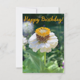Ein Tipp von Z "Happy Birthday" Karte! Dankeskarte