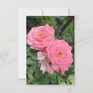 Ein Tipp Z "Rosa Rose"-Karte Dankeskarte