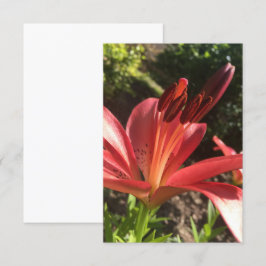 Ein Tipp Z "Solid Red Blume"-Karte Dankeskarte