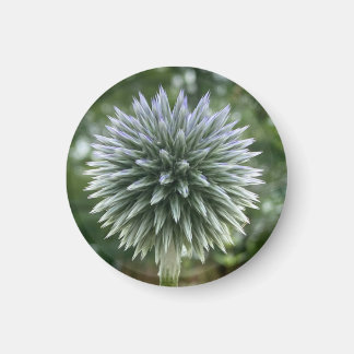 Ein Tipp zum Z "Green Fireworks Floral"-Magneten Magnet