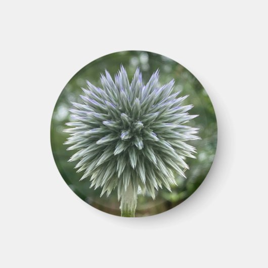 Ein Tipp zum Z "Green Fireworks Floral"-Magneten Magnet (Vorne)