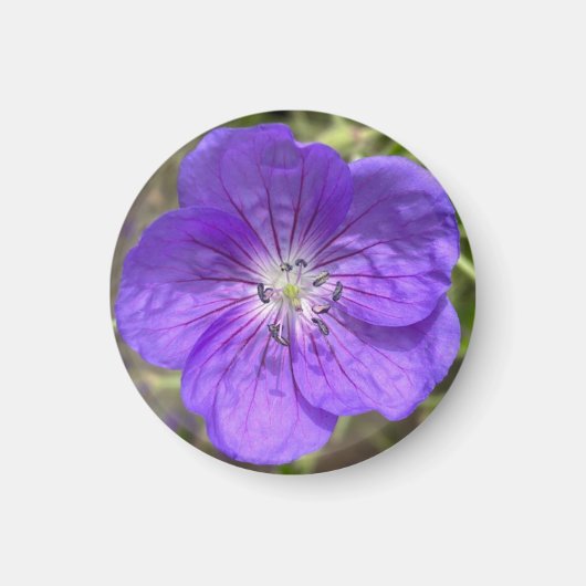 Ein Tipp zum Z-Magneten "Lila Blüte" Magnet (Vorne)