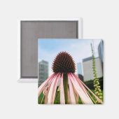 Ein Tipp zum Z-Magneten "Rosa und Weiße Blüte" Magnet (Vorderseite/Rückseite)