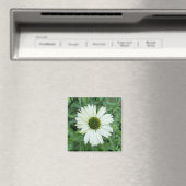Ein Tipp zum Z-Magneten "Weiße und grüne Daisy" Magnet (In Situ (Geschirrspüler))