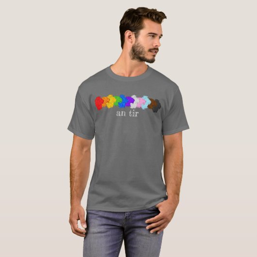Ein Tir Progress Pride T - Shirt (Vorne ganz)
