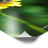 Ein Topf Gelb Fotodruck (Ecke)