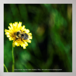 Ein Topf Gelb Poster