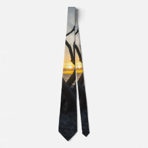Ein Torheit Sunrise Neck Tie Krawatte