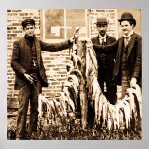 Ein Tragbalken voll der Fische ein feiner Fang für Poster