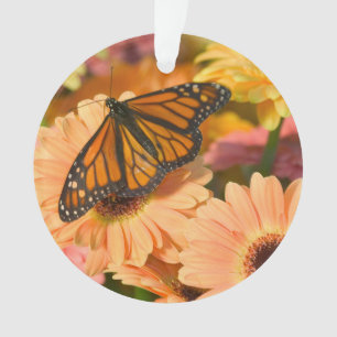 Ein Trauermantel Schmetterling Ornament