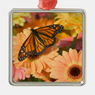 Ein Trauermantel Schmetterling Ornament Aus Metall
