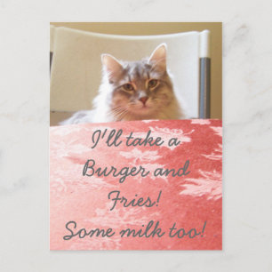 Ein Traum für Kätzchen! Postkarte