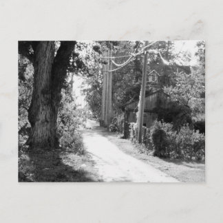 Ein Traum von Schwarz und Weiß Postkarte