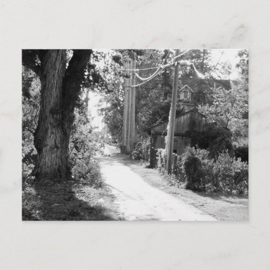 Ein Traum von Schwarz und Weiß Postkarte (Vorderseite)