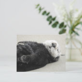 Ein traumhafter Otter Postkarte (Stehend Vorderseite)