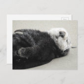 Ein traumhafter Otter Postkarte (Vorne/Hinten)