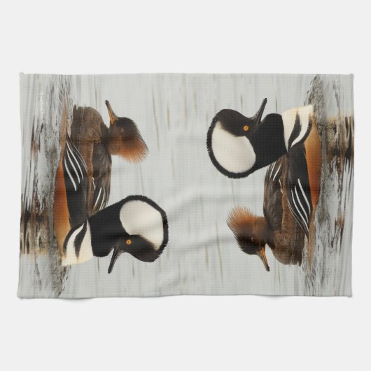 Ein Treffen der gehobenen Merganser Enten am Teich Geschirrtuch (Horizontal)