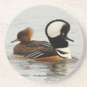 Ein Treffen der gehobenen Merganser Enten am Teich Getränkeuntersetzer (Vorne)