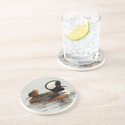 Ein Treffen der gehobenen Merganser Enten am Teich Getränkeuntersetzer (Seite)