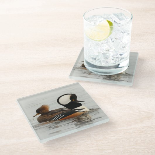 Ein Treffen der gehobenen Merganser Enten am Teich Glasuntersetzer (Schrägansicht)