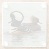 Ein Treffen der gehobenen Merganser Enten am Teich Glasuntersetzer (Rückseite)