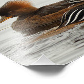 Ein Treffen gehobener Merganser Fotodruck (Ecke)