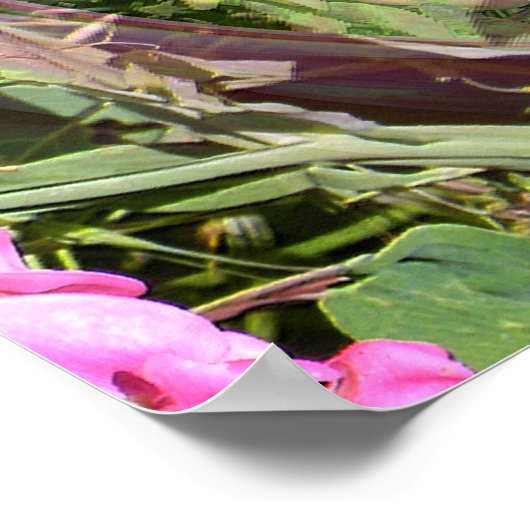 Ein Trellis süßer Erbsen... Poster (Ecke)