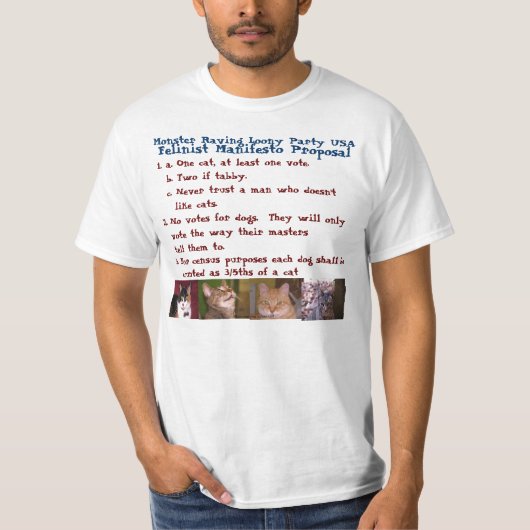 EIN TRIBUT ZU CAT MANDU 2 T-Shirt (Vorderseite)