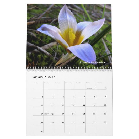 Ein Tribut zur Flora von Nordgriechenland Kalender (Jan 2027)