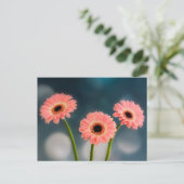 Ein Trio der rosa Gerberas Postkarte (Stehend Vorderseite)