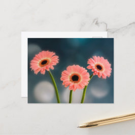 Ein Trio der rosa Gerberas Postkarte