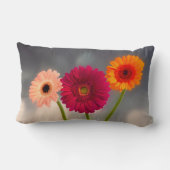Ein Trio von Gerberas Lumbar Cushion Lendenkissen (Rückseite)