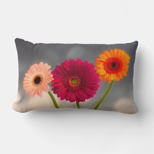 Ein Trio von Gerberas Lumbar Cushion Lendenkissen (Vorderseite)