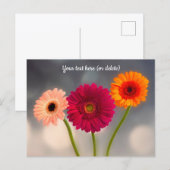 Ein Trio von Gerberas Postcard Postkarte (Vorne/Hinten)