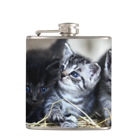 Ein Trio von Kittens Nesseled Flachmann (Vorderseite)