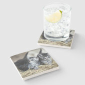 Ein Trio von Kittens Nesseled Steinuntersetzer (Seitenansicht)