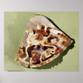 Ein triumphierender Kaiser trampelt Barbaren Poster (Vorne)