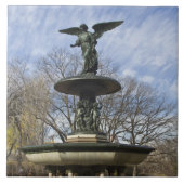 Ein trockener Winter Bethesda Springbrunnen im Zen Fliese (Vorderseite)