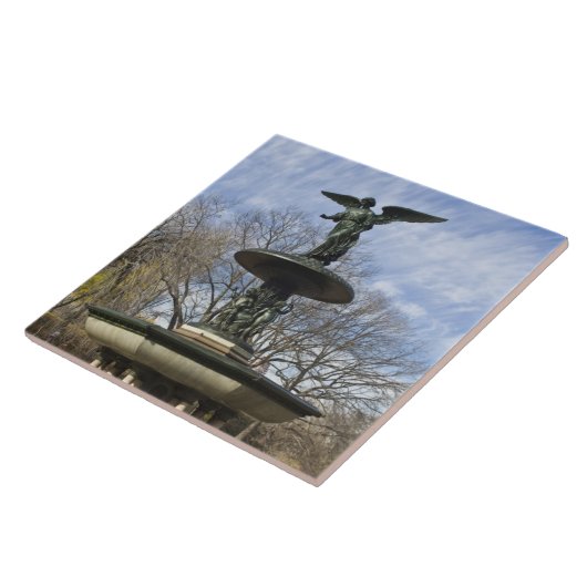 Ein trockener Winter Bethesda Springbrunnen im Zen Fliese (Seite)